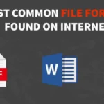 common document format found on the internet